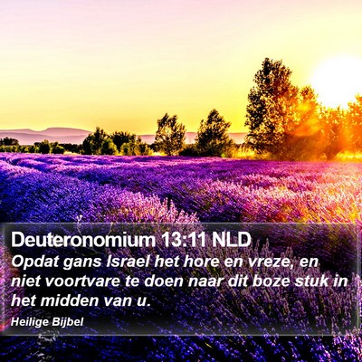 Deuteronomium 13:11 NLD Bible Verse Image