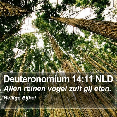 Deuteronomium 14:11 NLD Bible Verse Image