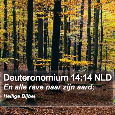 Deuteronomium 14:14 NLD Bible Verse Image