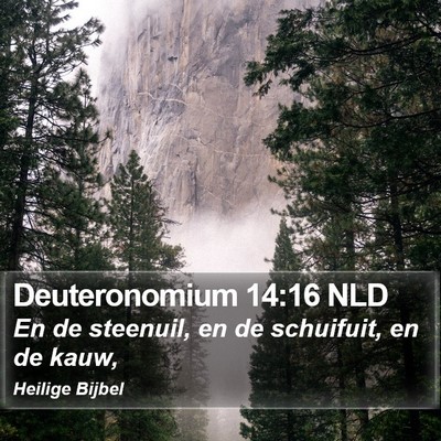 Deuteronomium 14:16 NLD Bible Verse Image