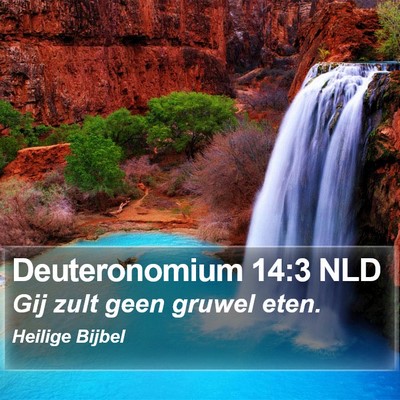 Deuteronomium 14:3 NLD Bible Verse Image