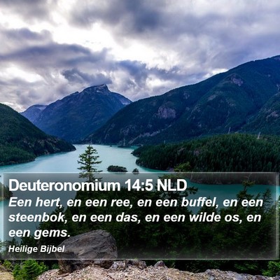 Deuteronomium 14:5 NLD Bible Verse Image
