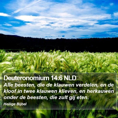 Deuteronomium 14:6 NLD Bible Verse Image