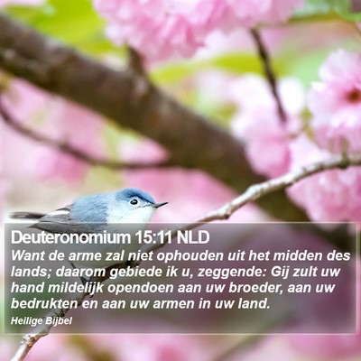 Deuteronomium 15:11 NLD Bible Verse Image