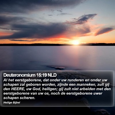 Deuteronomium 15:19 NLD Bible Verse Image