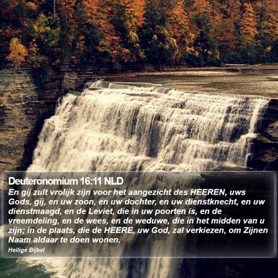 Deuteronomium 16:11 NLD Bible Verse Image
