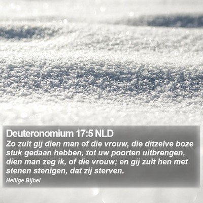 Deuteronomium 17:5 NLD Bible Verse Image