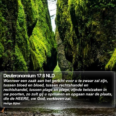 Deuteronomium 17:8 NLD Bible Verse Image