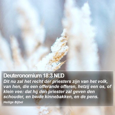 Deuteronomium 18:3 NLD Bible Verse Image