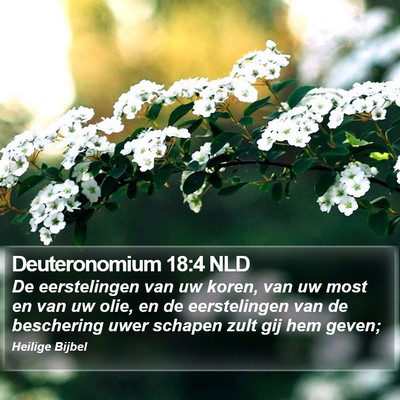 Deuteronomium 18:4 NLD Bible Verse Image