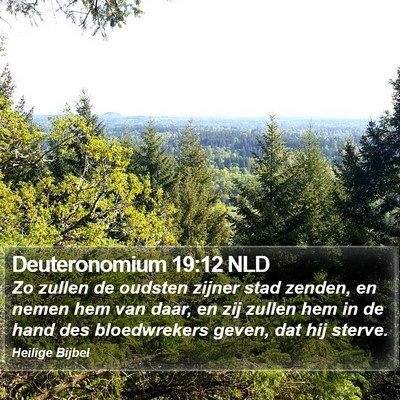 Deuteronomium 19:12 NLD Bible Verse Image