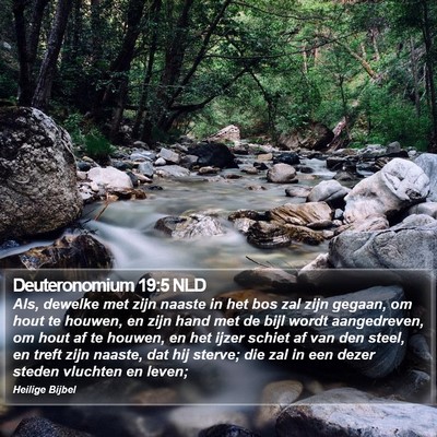 Deuteronomium 19:5 NLD Bible Verse Image