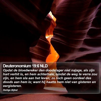 Deuteronomium 19:6 NLD Bible Verse Image