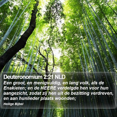 Deuteronomium 2:21 NLD Bible Verse Image