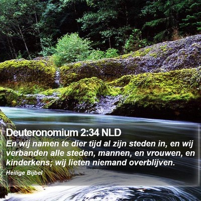 Deuteronomium 2:34 NLD Bible Verse Image