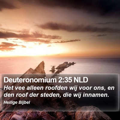 Deuteronomium 2:35 NLD Bible Verse Image