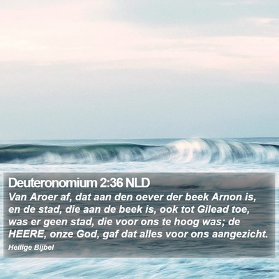 Deuteronomium 2:36 NLD Bible Verse Image