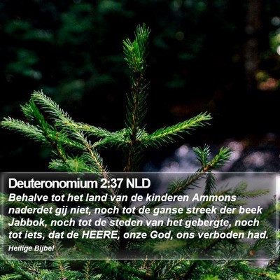 Deuteronomium 2:37 NLD Bible Verse Image