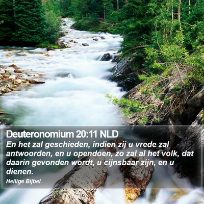 Deuteronomium 20:11 NLD Bible Verse Image