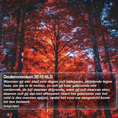 Deuteronomium 20:19 NLD Bible Verse Image
