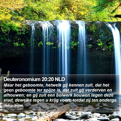 Deuteronomium 20:20 NLD Bible Verse Image