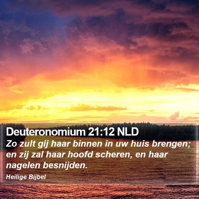 Deuteronomium 21:12 NLD Bible Verse Image