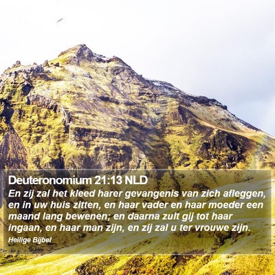 Deuteronomium 21:13 NLD Bible Verse Image