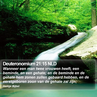 Deuteronomium 21:15 NLD Bible Verse Image