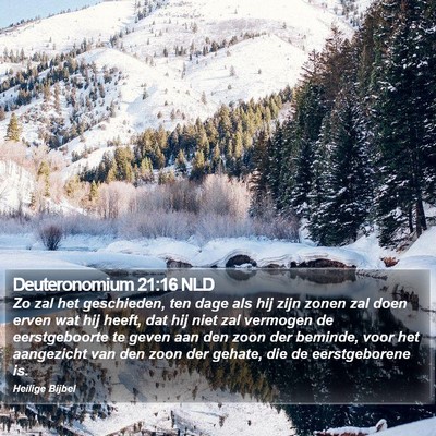 Deuteronomium 21:16 NLD Bible Verse Image