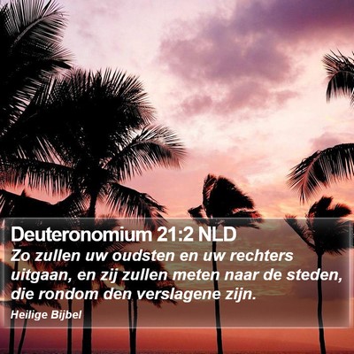 Deuteronomium 21:2 NLD Bible Verse Image
