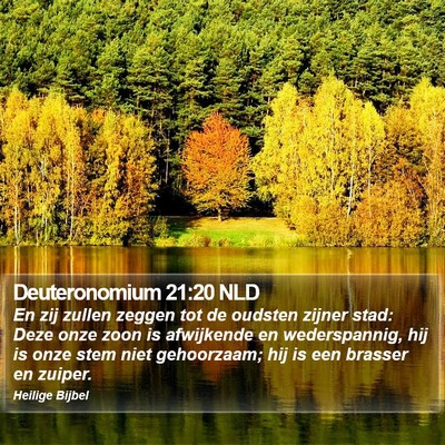 Deuteronomium 21:20 NLD Bible Verse Image