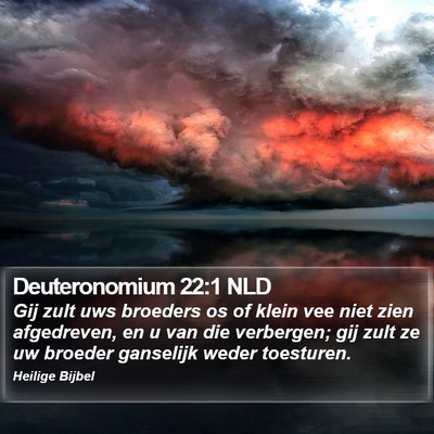 Deuteronomium 22:1 NLD Bible Verse Image