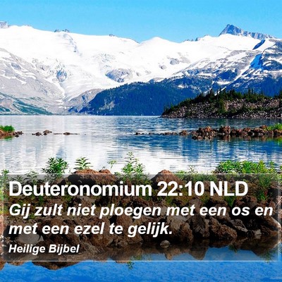 Deuteronomium 22:10 NLD Bible Verse Image