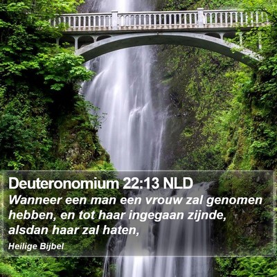 Deuteronomium 22:13 NLD Bible Verse Image