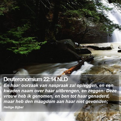 Deuteronomium 22:14 NLD Bible Verse Image