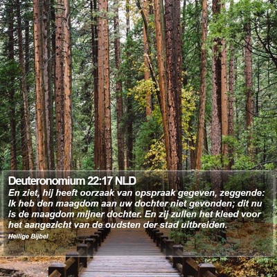 Deuteronomium 22:17 NLD Bible Verse Image