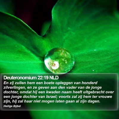 Deuteronomium 22:19 NLD Bible Verse Image