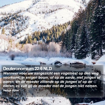 Deuteronomium 22:6 NLD Bible Verse Image