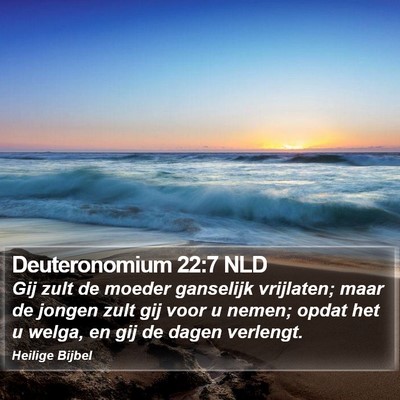 Deuteronomium 22:7 NLD Bible Verse Image