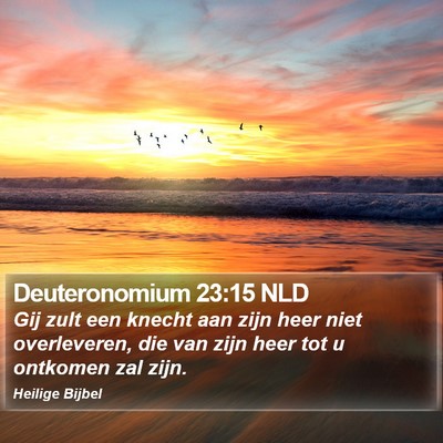 Deuteronomium 23:15 NLD Bible Verse Image