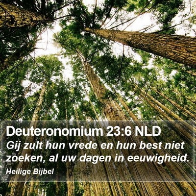 Deuteronomium 23:6 NLD Bible Verse Image