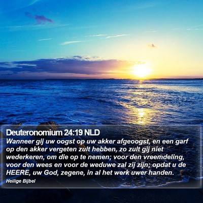 Deuteronomium 24:19 NLD Bible Verse Image