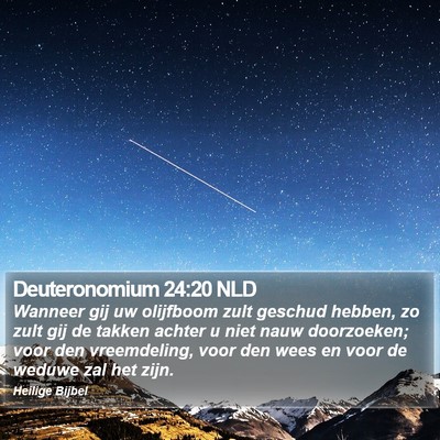 Deuteronomium 24:20 NLD Bible Verse Image