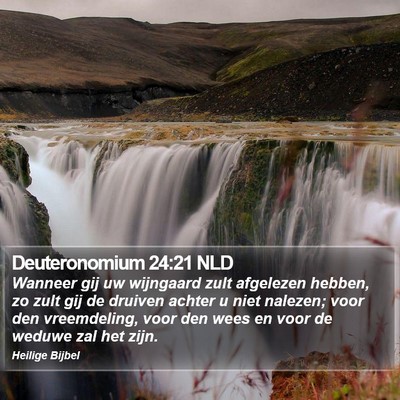 Deuteronomium 24:21 NLD Bible Verse Image