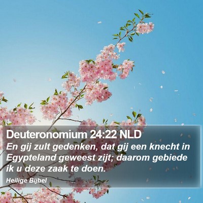 Deuteronomium 24:22 NLD Bible Verse Image