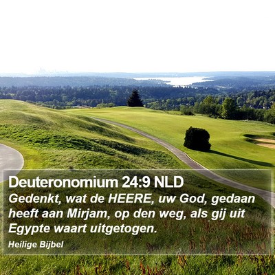 Deuteronomium 24:9 NLD Bible Verse Image