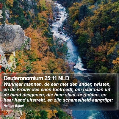 Deuteronomium 25:11 NLD Bible Verse Image
