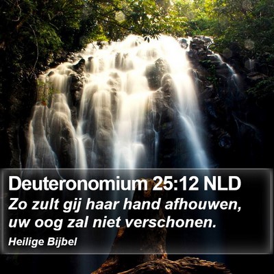 Deuteronomium 25:12 NLD Bible Verse Image