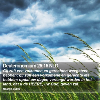Deuteronomium 25:15 NLD Bible Verse Image