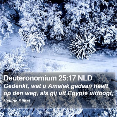 Deuteronomium 25:17 NLD Bible Verse Image
